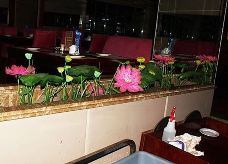 果蝇停歇在餐桌、餐台附近的物体表面